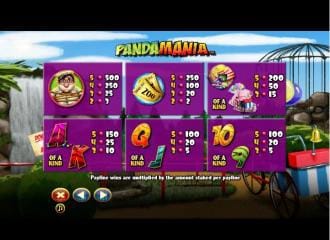 Pandamania