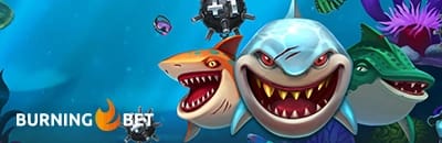 BurningBet Casino de