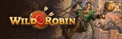Wildrobin casino de